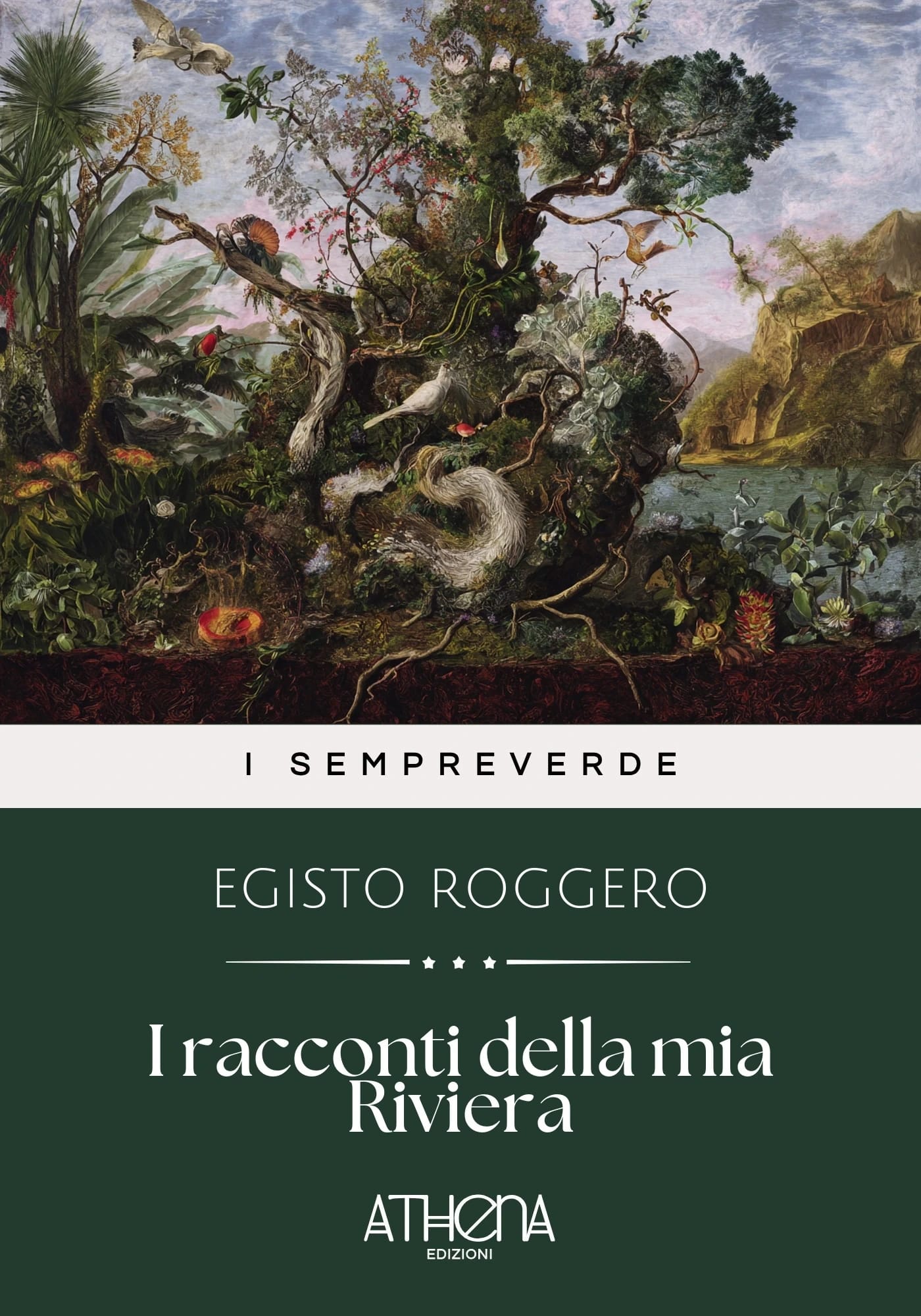 Copertina di I racconti della mia