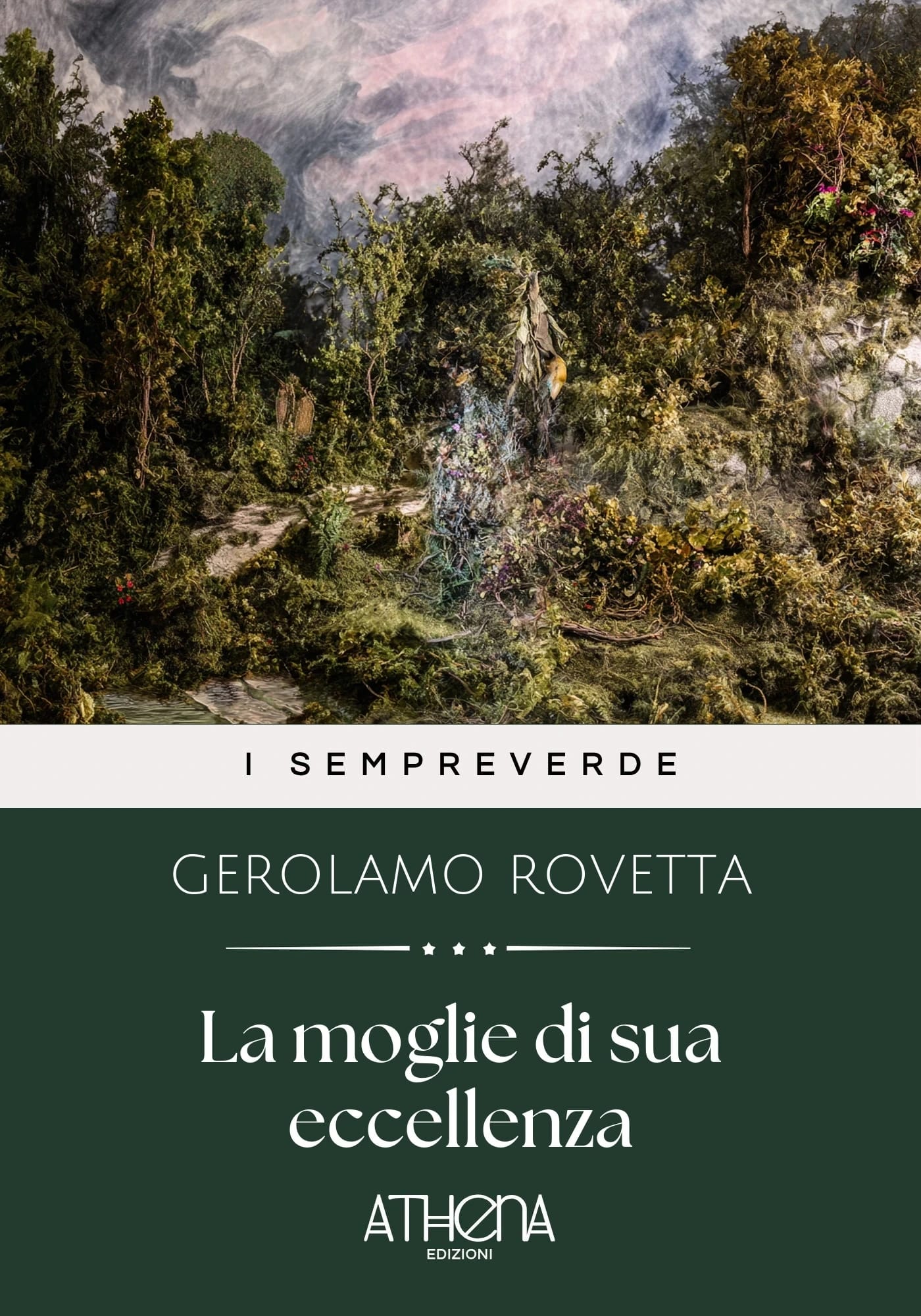 Copertina di La moglie di sua ecc