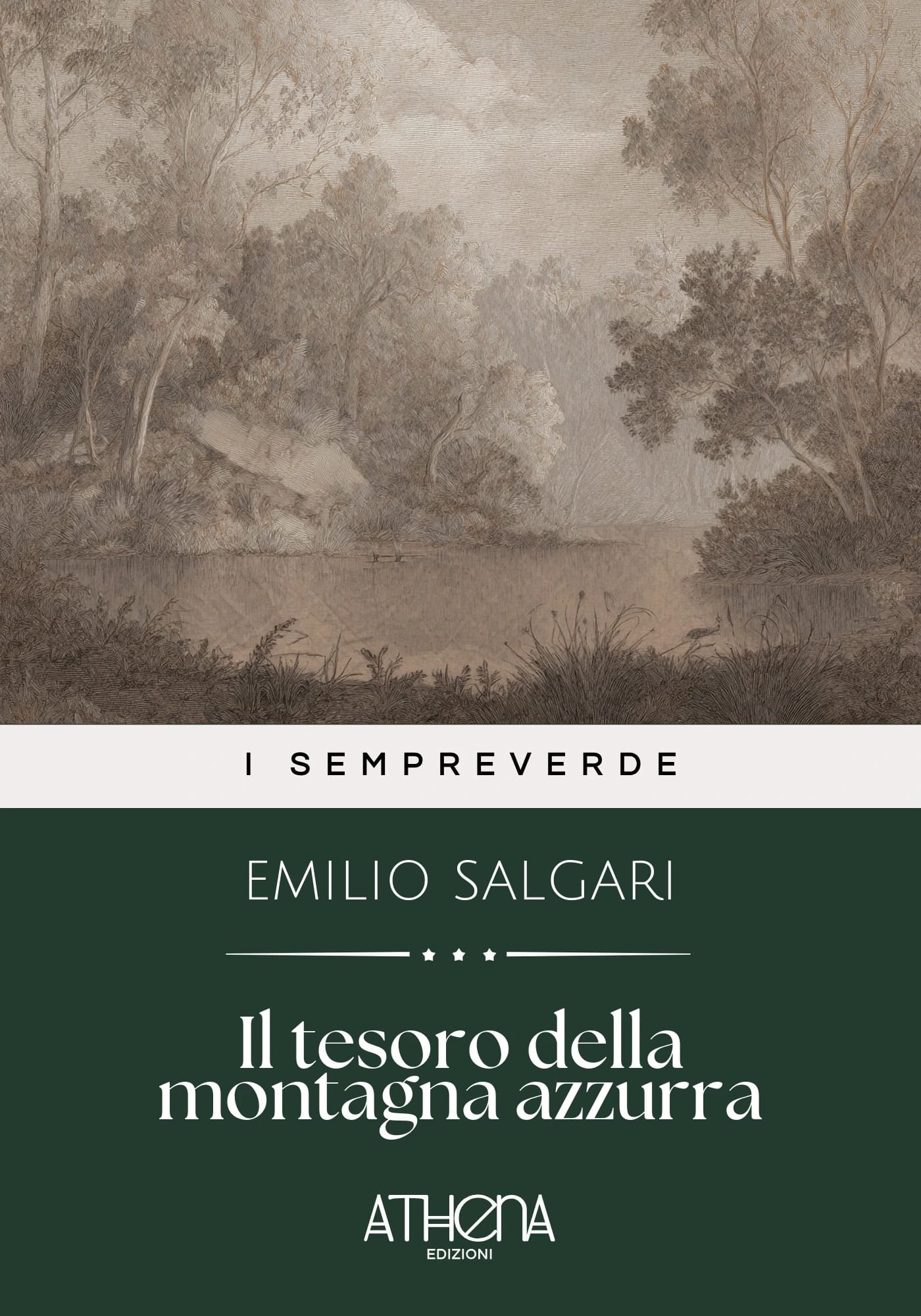 Copertina di Il tesoro della mont