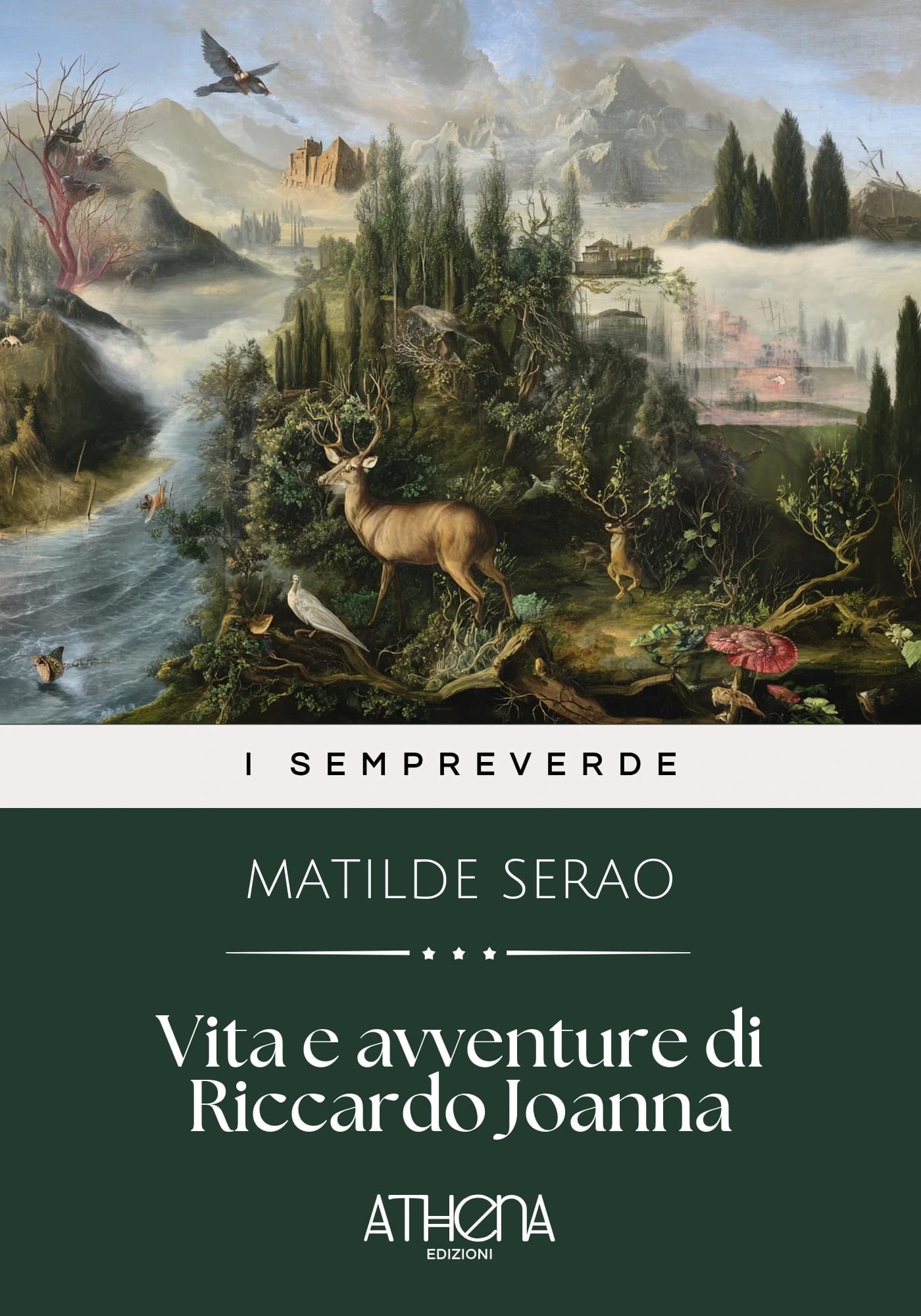 Copertina di Vita e avventure di