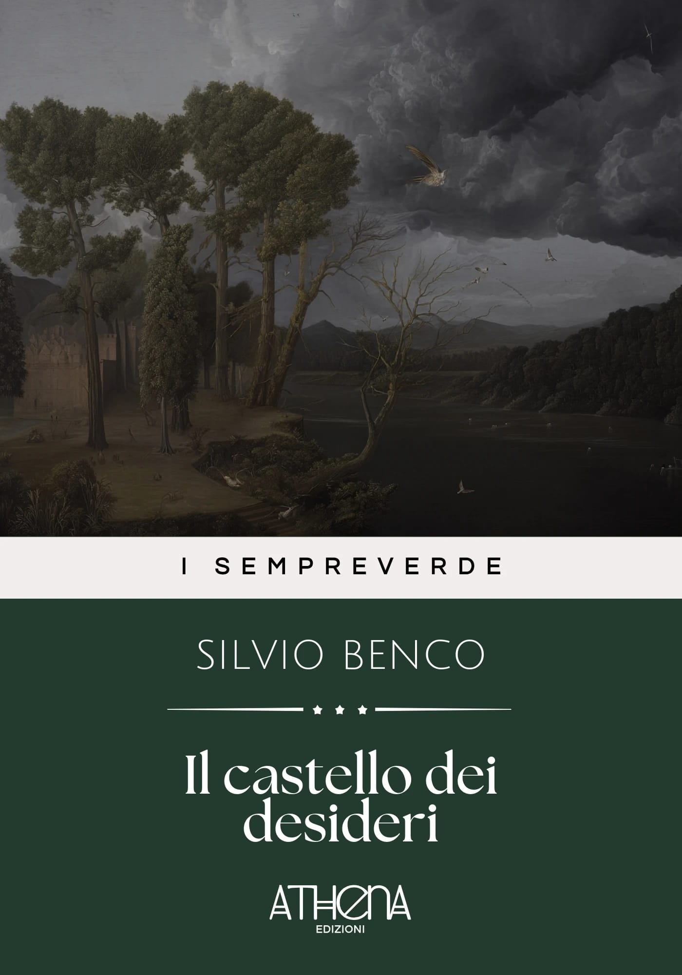 Copertina di Il castello dei desi