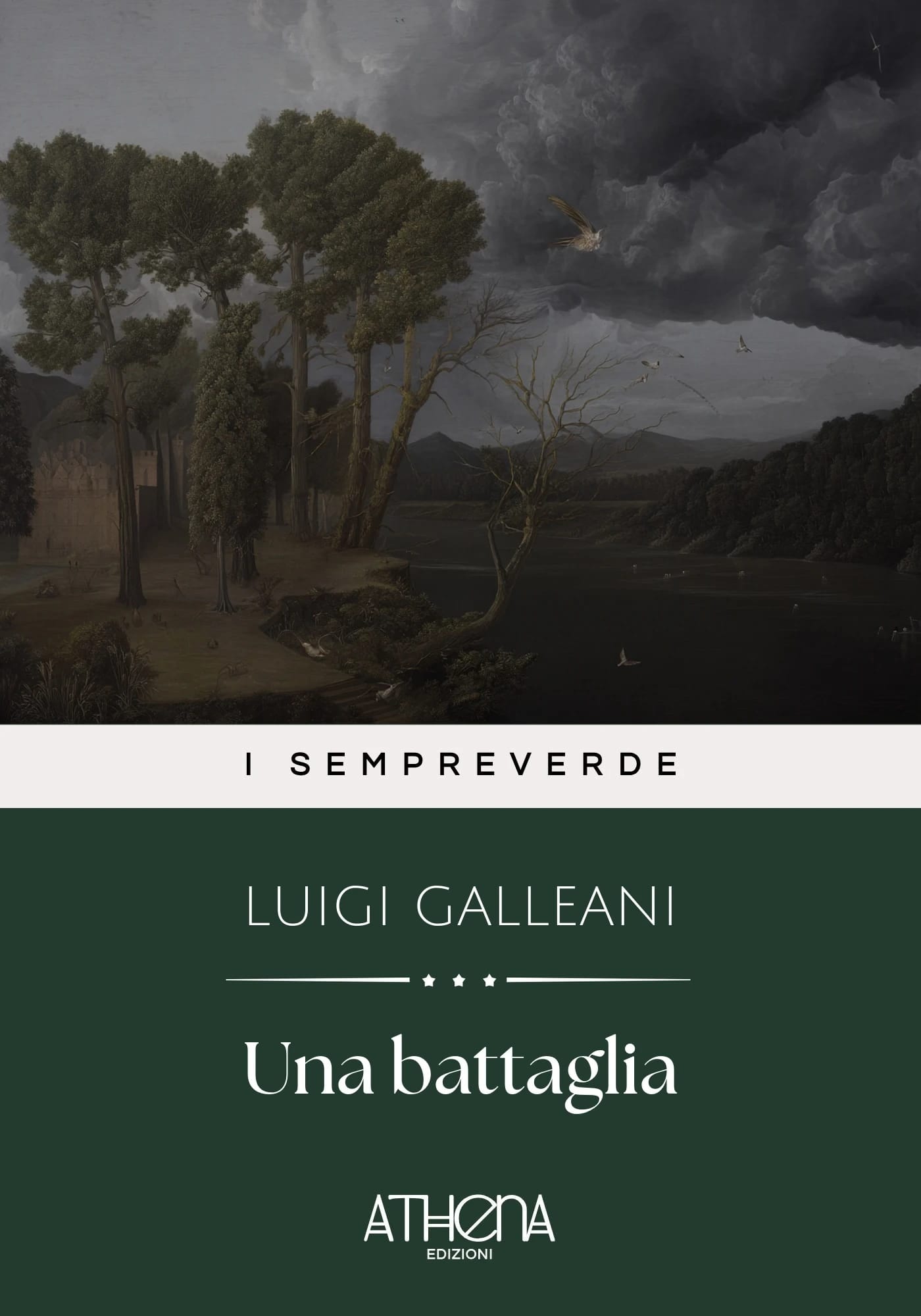 Copertina di Una battaglia