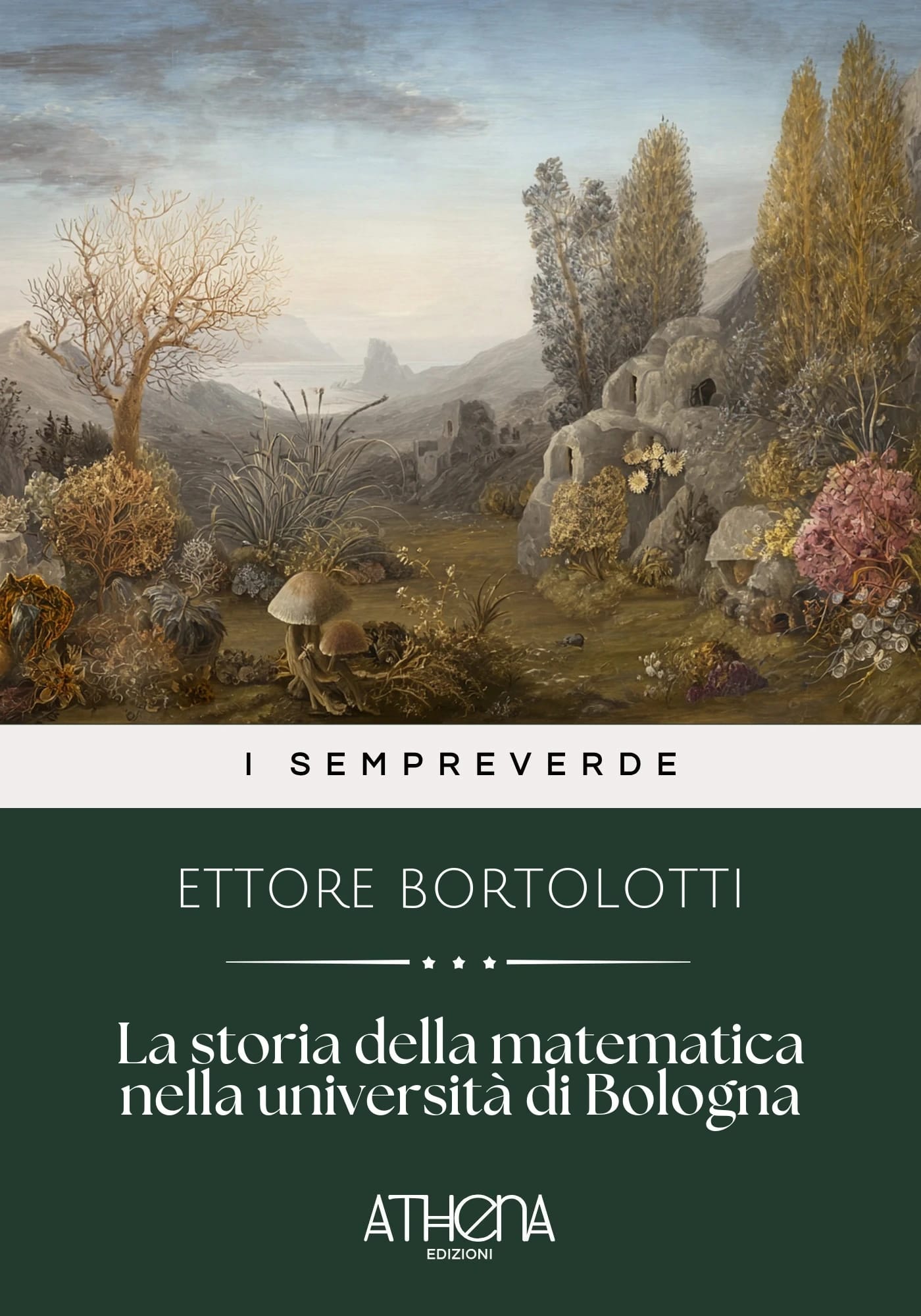 Copertina di La storia della mate