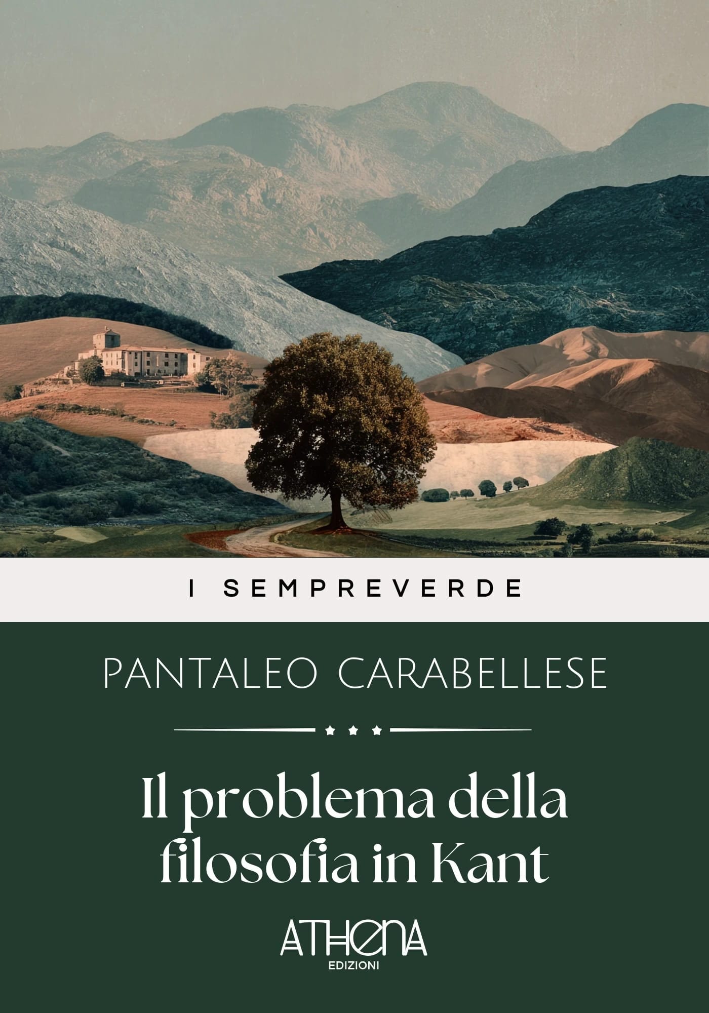 Copertina di Il problema della fi
