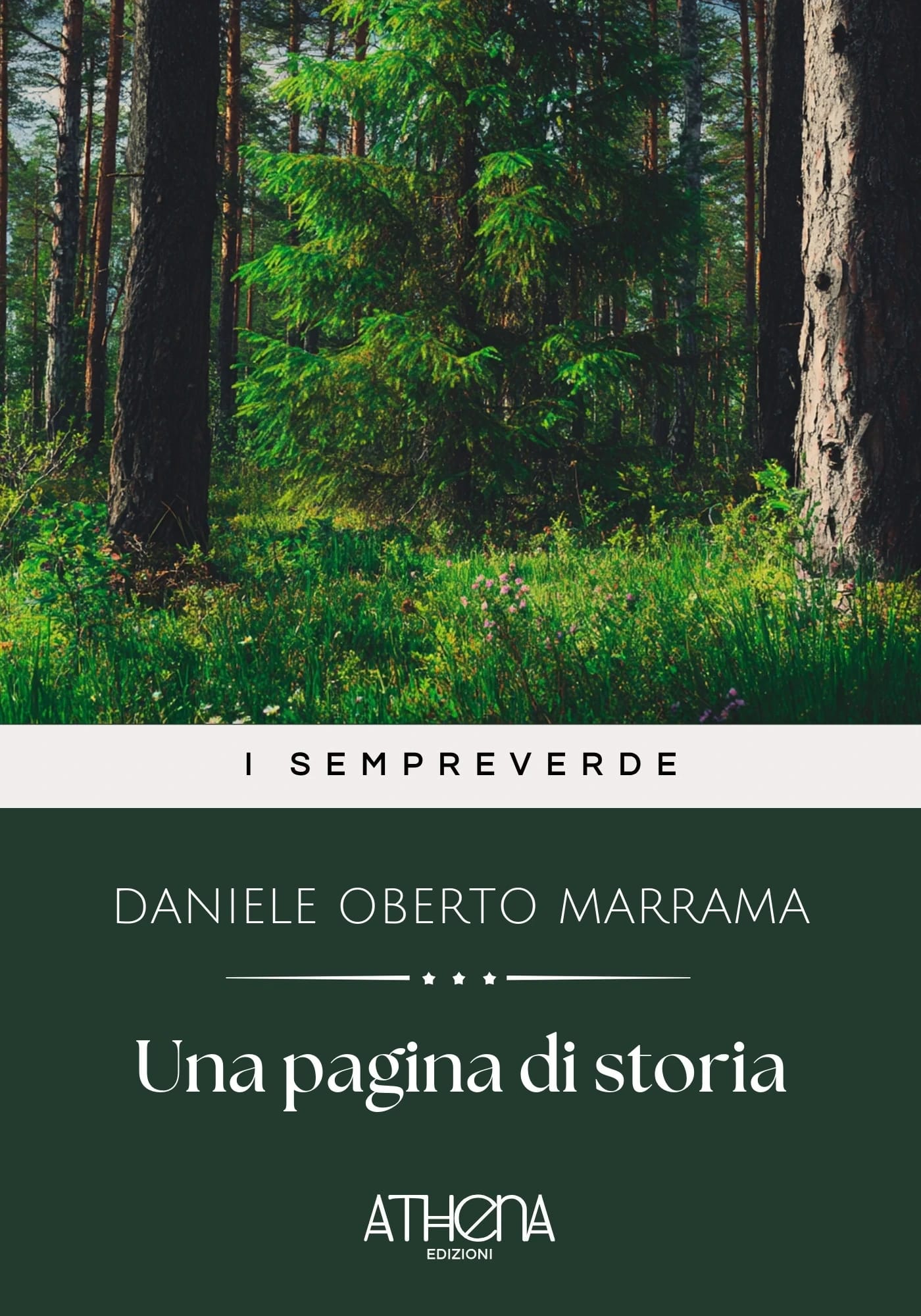Copertina di Una pagina di storia