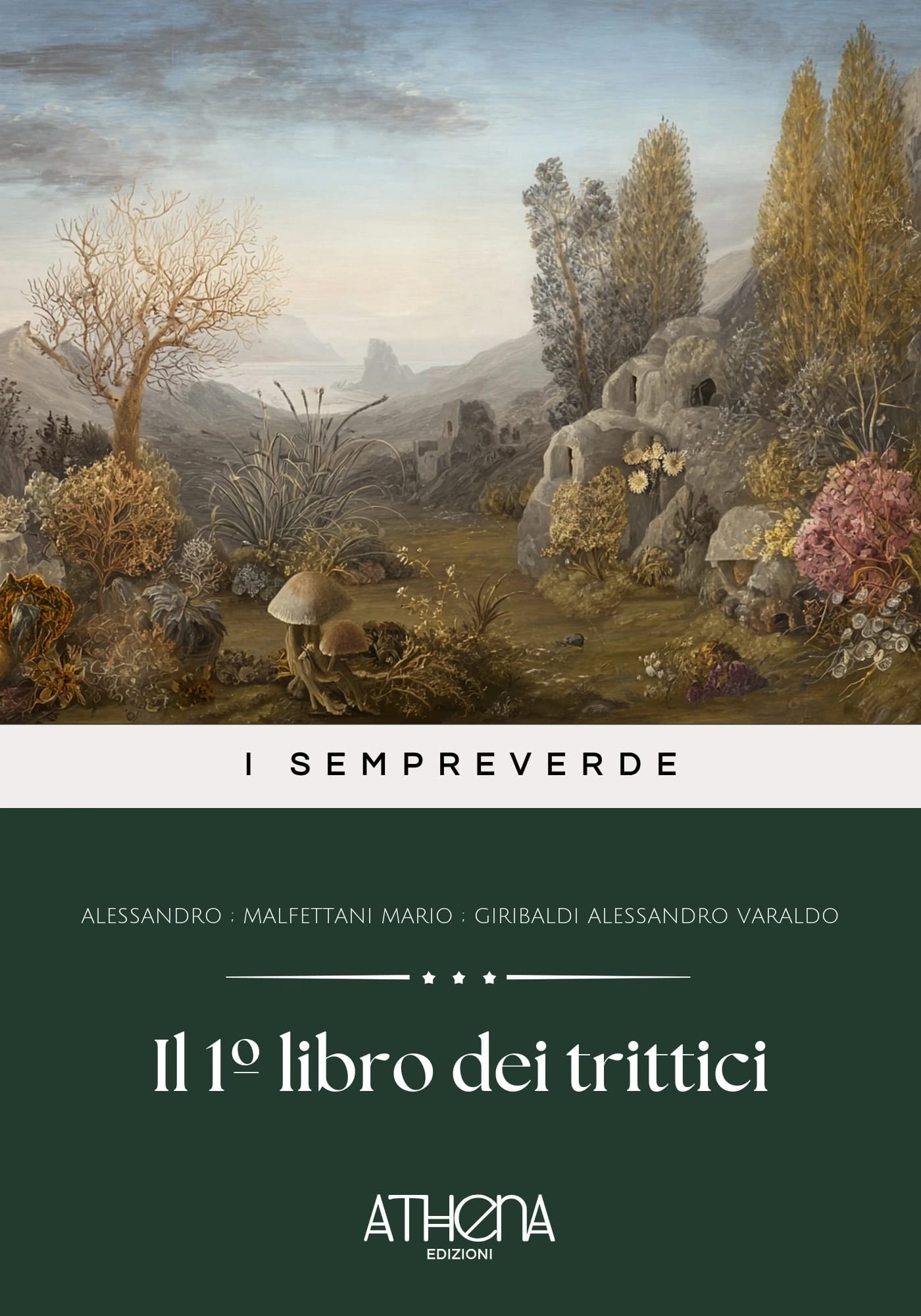 Copertina di Il 1º libro dei trit